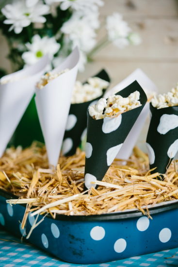 Detalhes para uma festa fazendinha